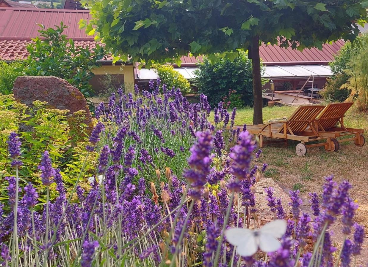 Gaestehaus Roehm Ilbesheim bei Landau in der Pfalz Exteriör bild